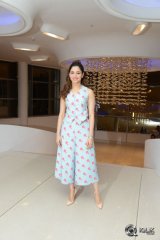 Bengal Tiger Movie Success Meet